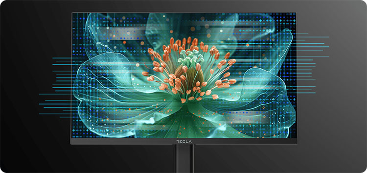 TESLA monitor MC925