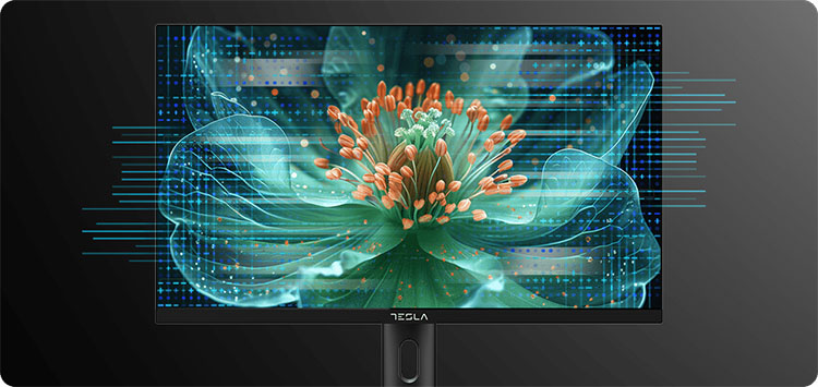 TESLA monitor MC925